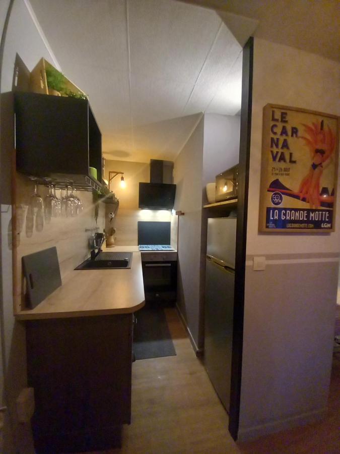 Appartamento Rose Cote Mer Studio Et Garage, Entree Autonome La Grande-Motte Esterno foto